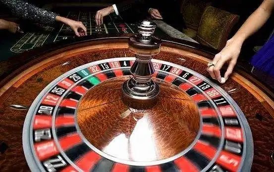 Detailed view of hoki236 Bingo card layout with number grid and payout tiers